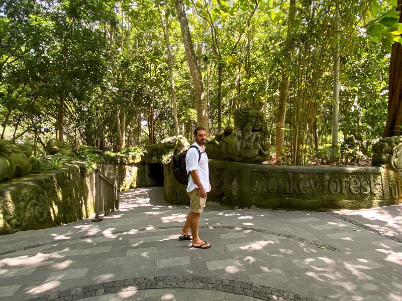 entrada-monkey-forest-ubud_opt