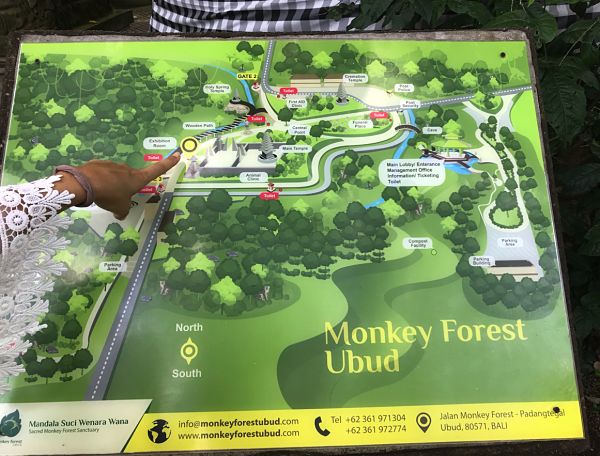 mapa-monkey-forest-ubud_opt