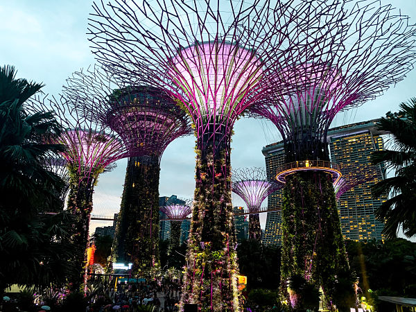 arboles-gigantes-gardens-by-the-bay-singapur